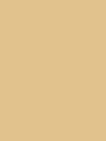 Living Room Paint Color Collection From The Best Paint Companies Picture17 1 |