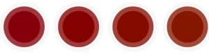Screenshot 2024 08 18 150946 E1723984469260 1 |